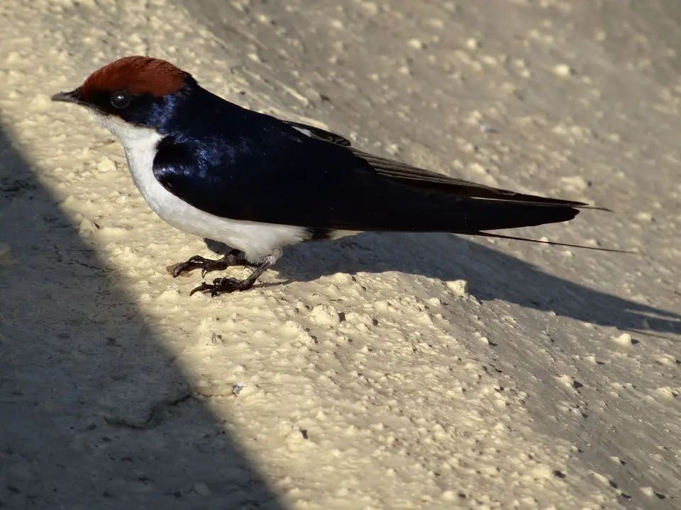 DSC07373.JPG