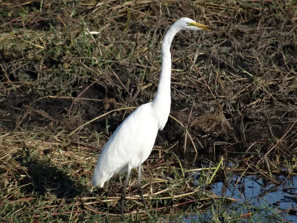 DSC07488.JPG