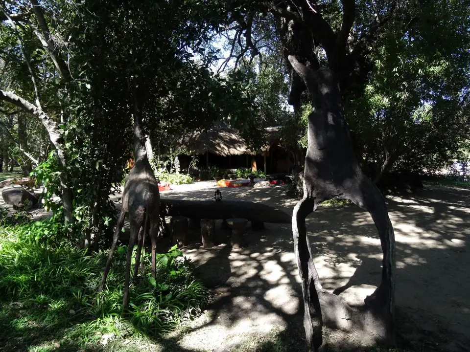 DSC07756.JPG