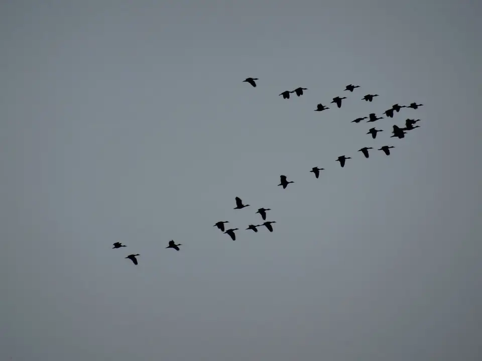 DSC07846.JPG