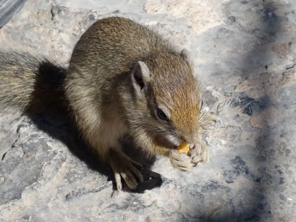 DSC08632.JPG