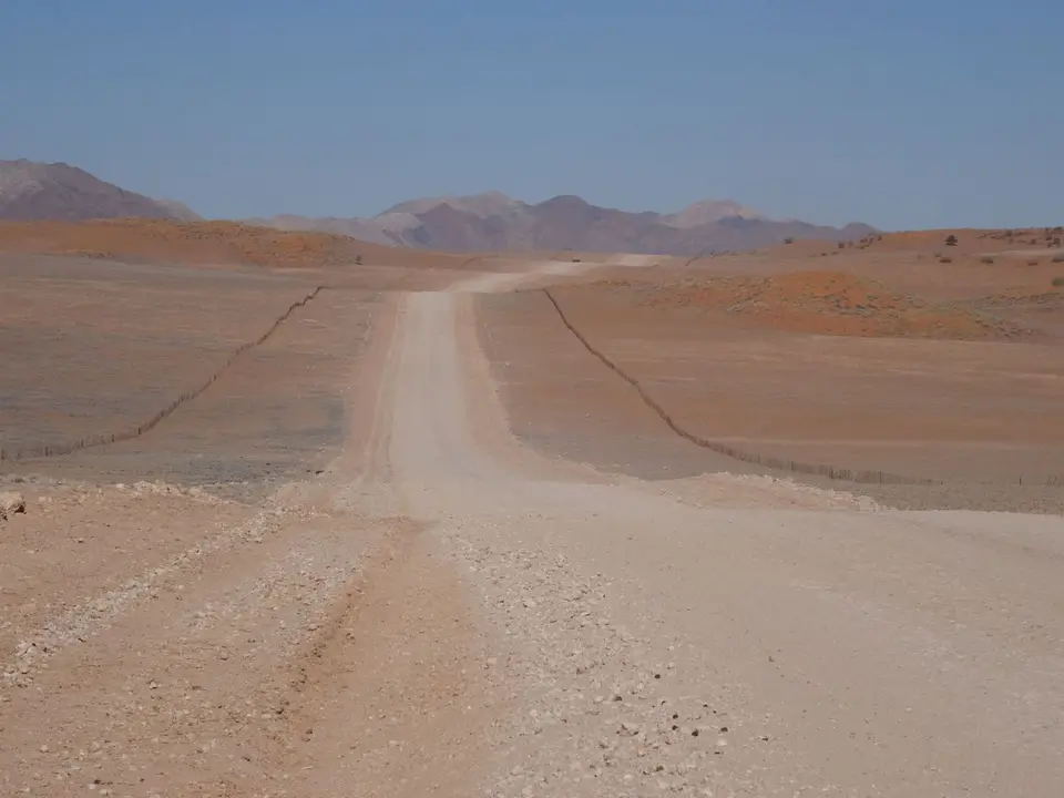 DSC09944.JPG