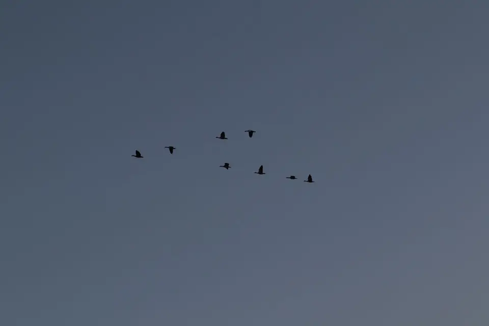 IMG_5191.JPG
