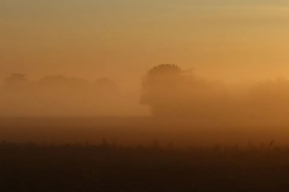 IMG_5333.JPG