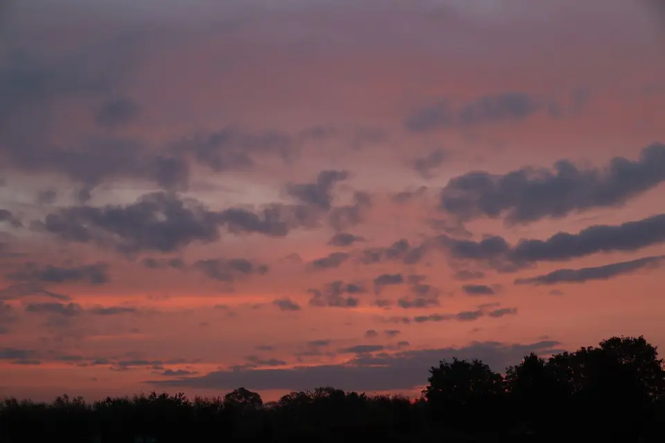 IMG_5812.JPG