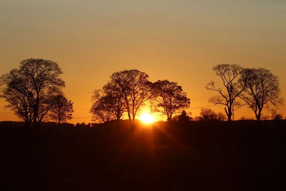 IMG_7610.JPG