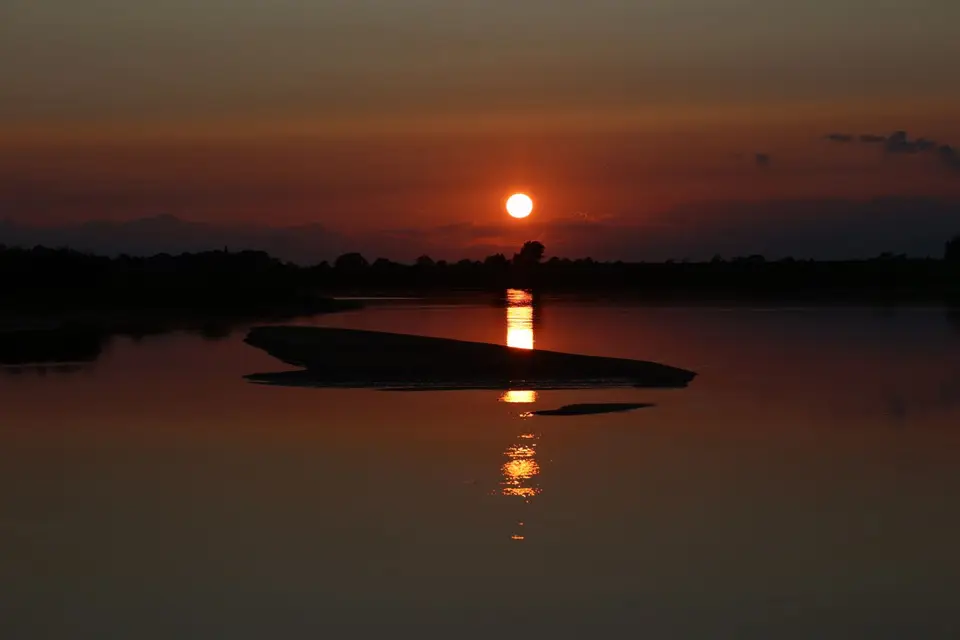 IMG_8217.JPG