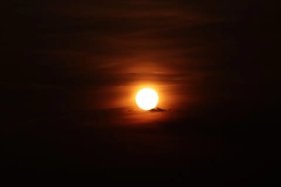 IMG_8362.JPG