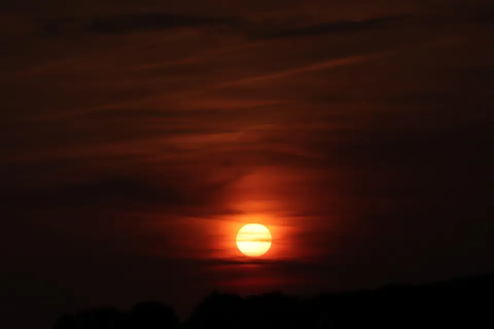 IMG_8376.JPG