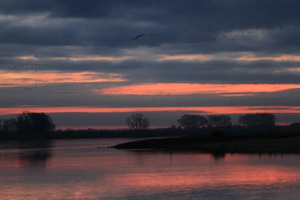_MG_1153.JPG