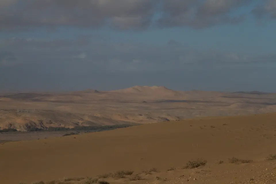 _MG_7500.jpg