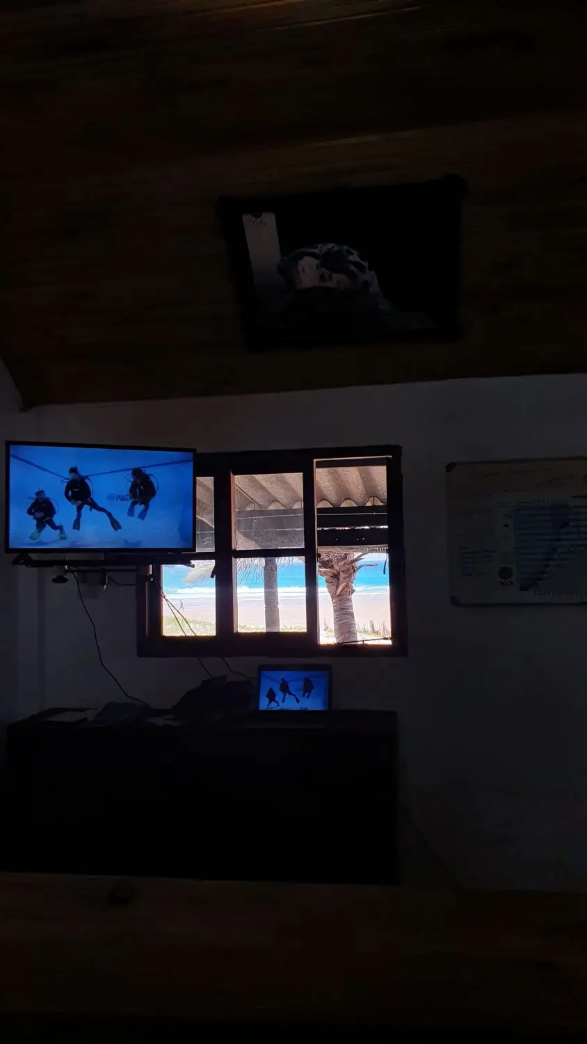 20221129_112956-2.jpg