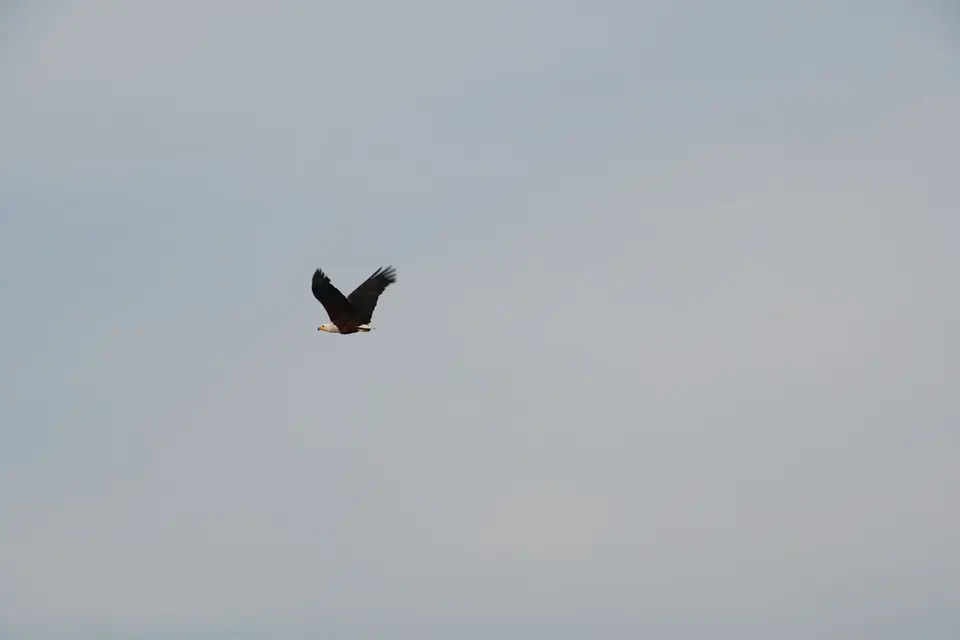 DSC00983.JPG