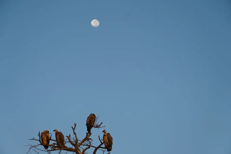DSC08787.JPG