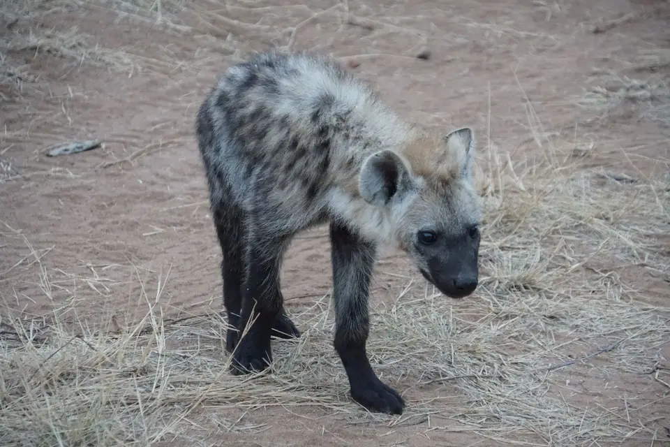 DSC09376.JPG
