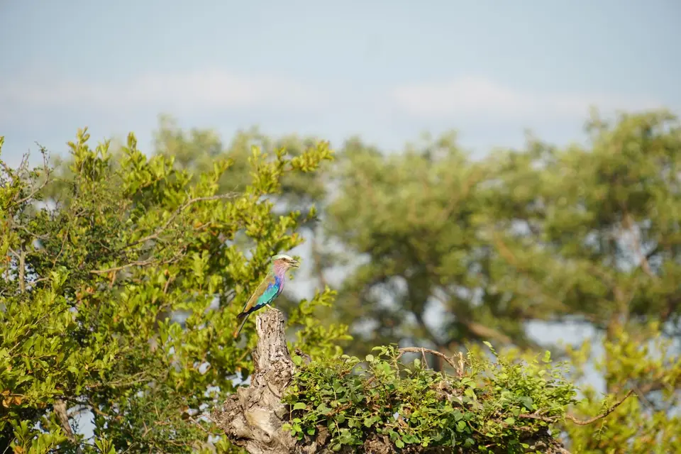 DSC09437.JPG