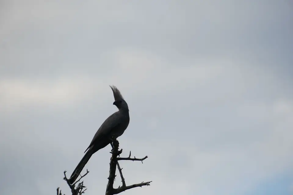 DSC09485.JPG