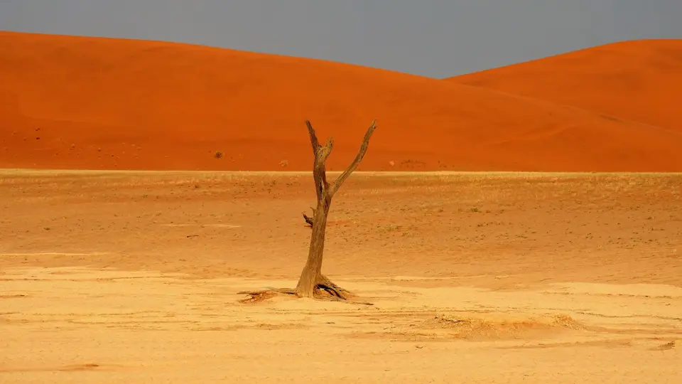 DSCF2383v.jpg