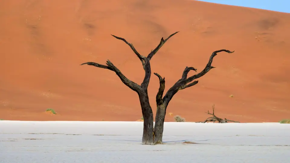 DSCF2401v.jpg