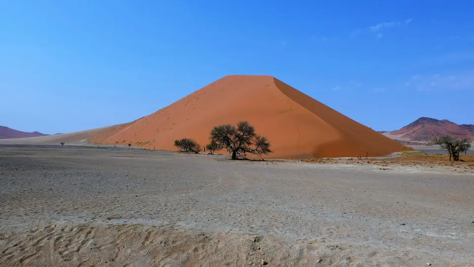DSCF2430v.jpg