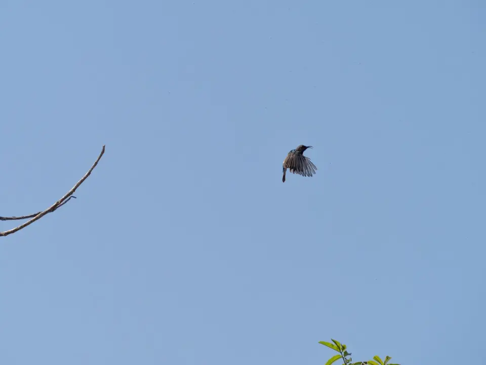 P9154681.jpg