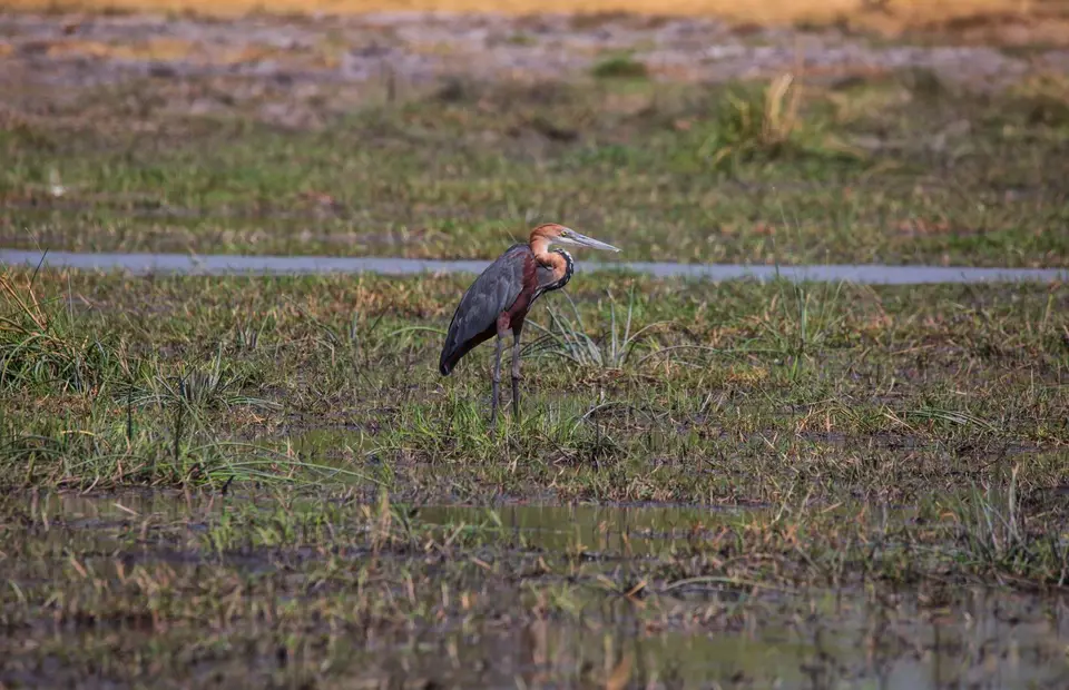 Botswana_Khwai_120.jpg