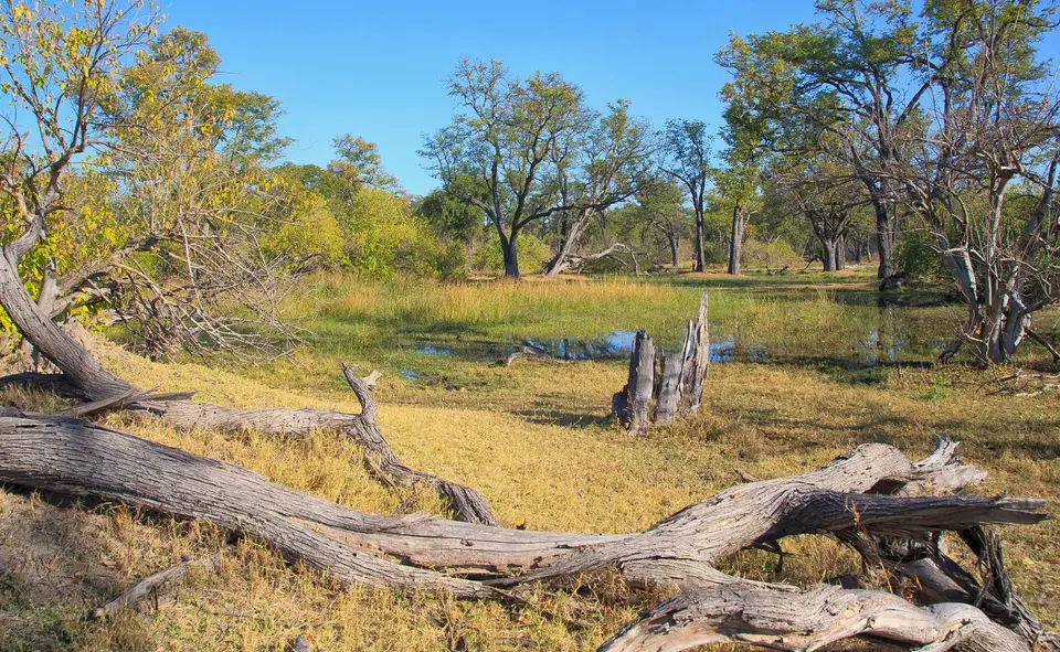 Botswana_Xakanaxa_046.jpg