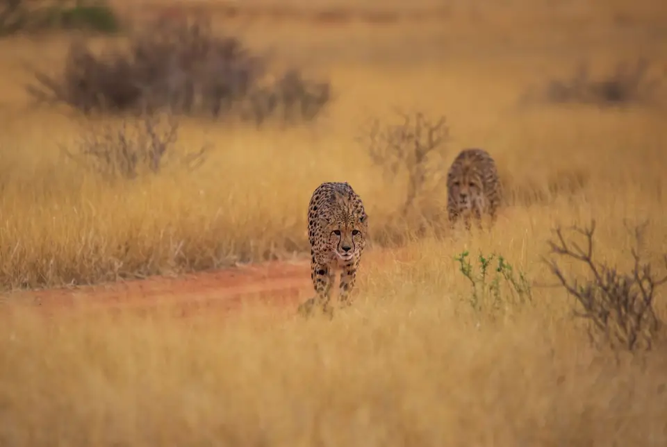 Namibia_Bagadelle_12.jpg