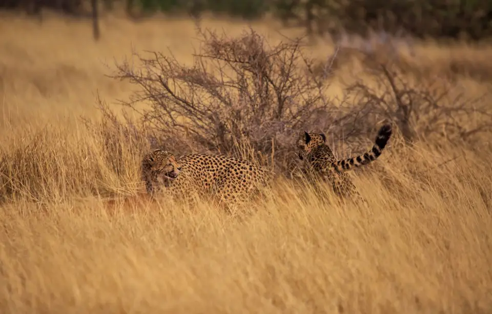 Namibia_Bagadelle_38.jpg
