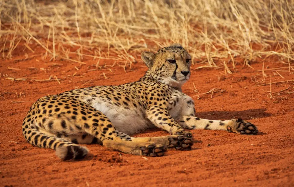 Namibia_Bagadelle_66.jpg