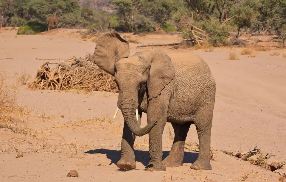 Namibia_Damaraland_032.jpg