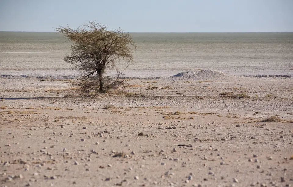 Namibia_Etosha_210.jpg