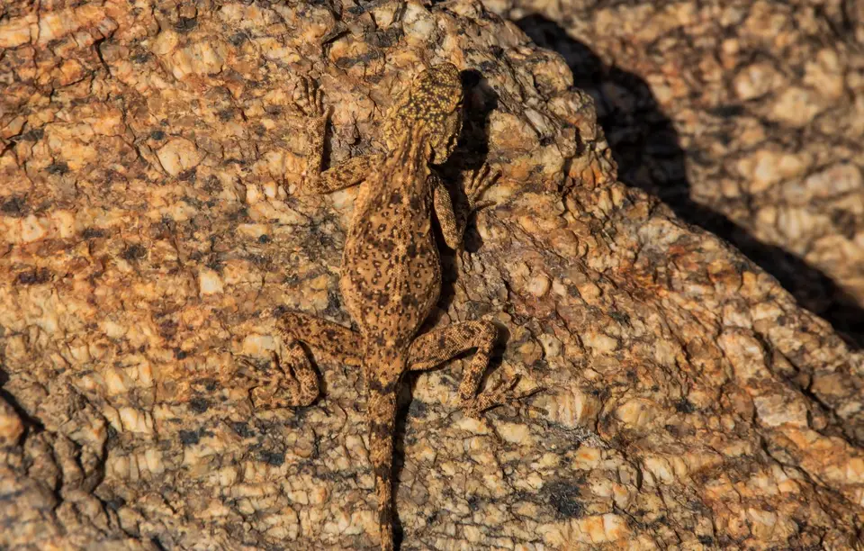 Namibia_Fischrivercanyon_17.jpg