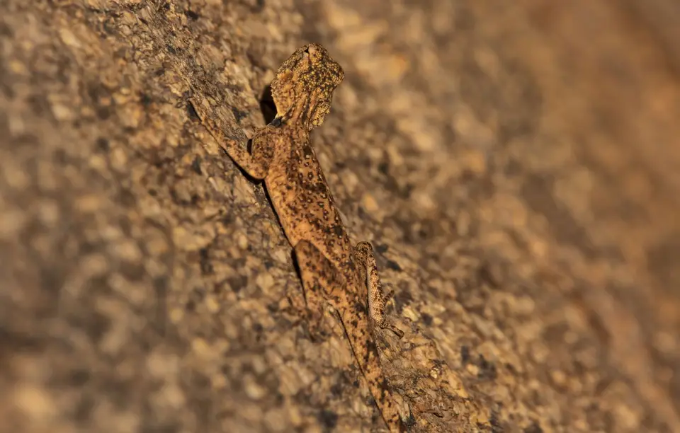Namibia_Fischrivercanyon_19.jpg