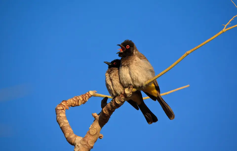 Namibia_Grootberglodge_24.jpg