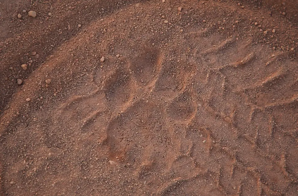 Namibia_Grootberglodge_32.jpg