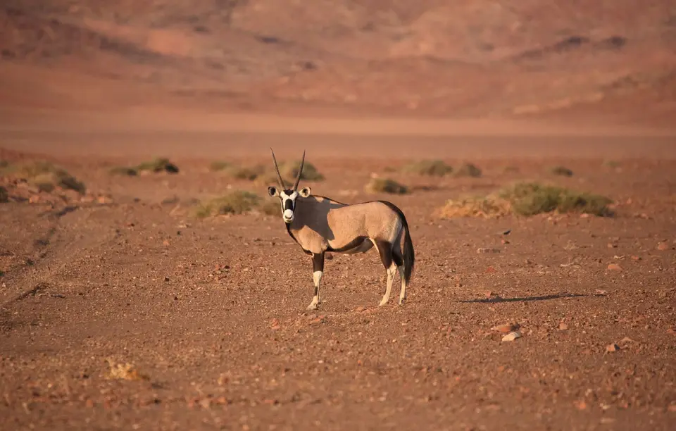 Namibia_Hoarusib_002.jpg