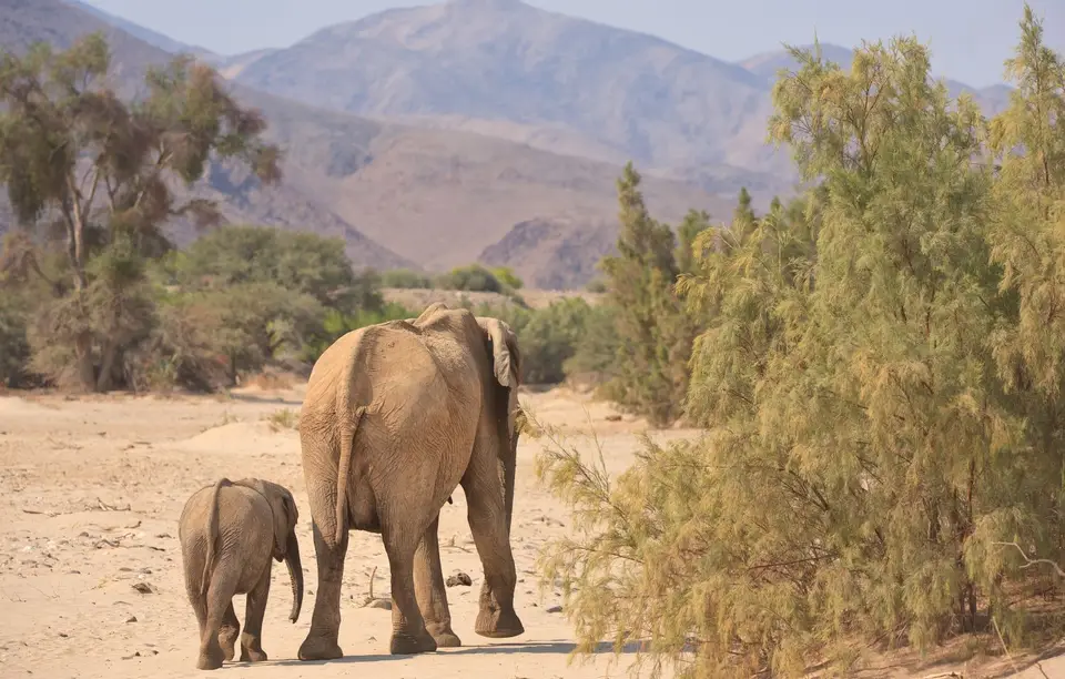 Namibia_Hoarusib_009.jpg