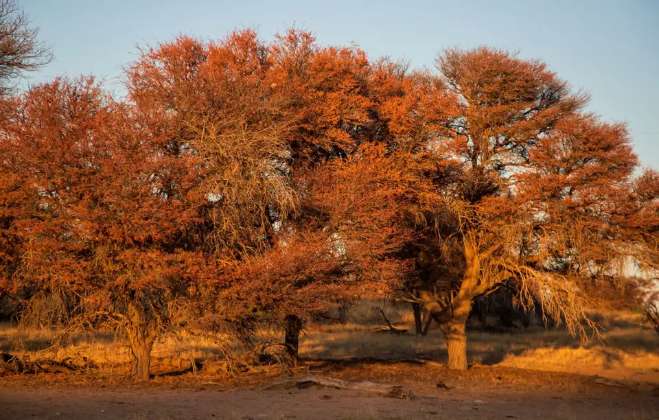 Namibia_KalahariGameLodge_10.jpg