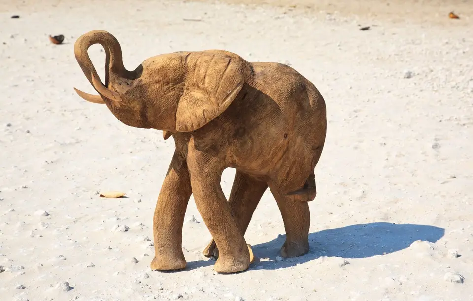 Namibia_Kavango_16.jpg