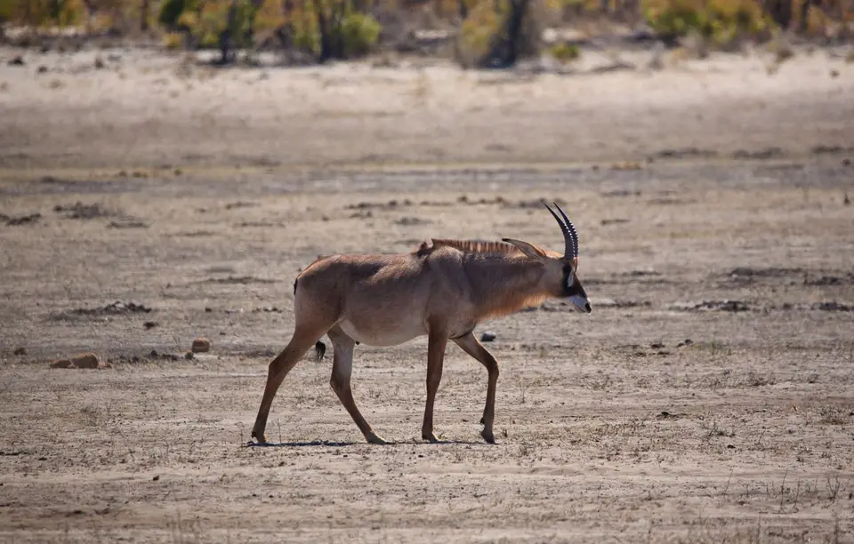 Namibia_Mahango_009.jpg