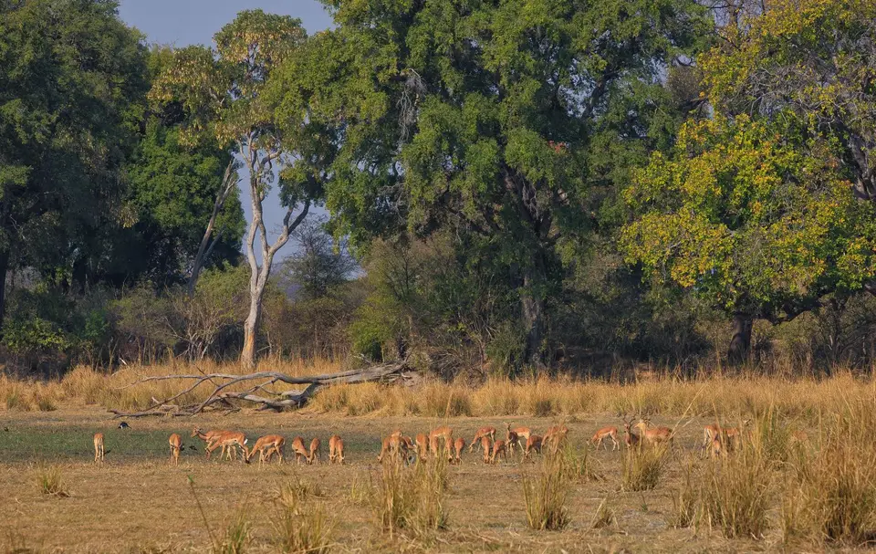 Namibia_Mahango_019.jpg
