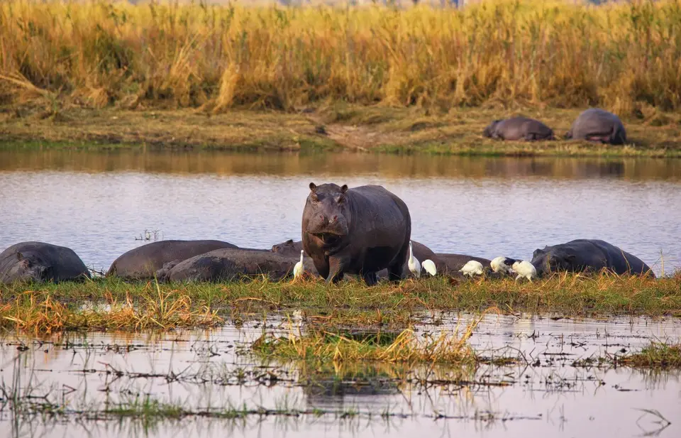 Namibia_Mahango_020.jpg