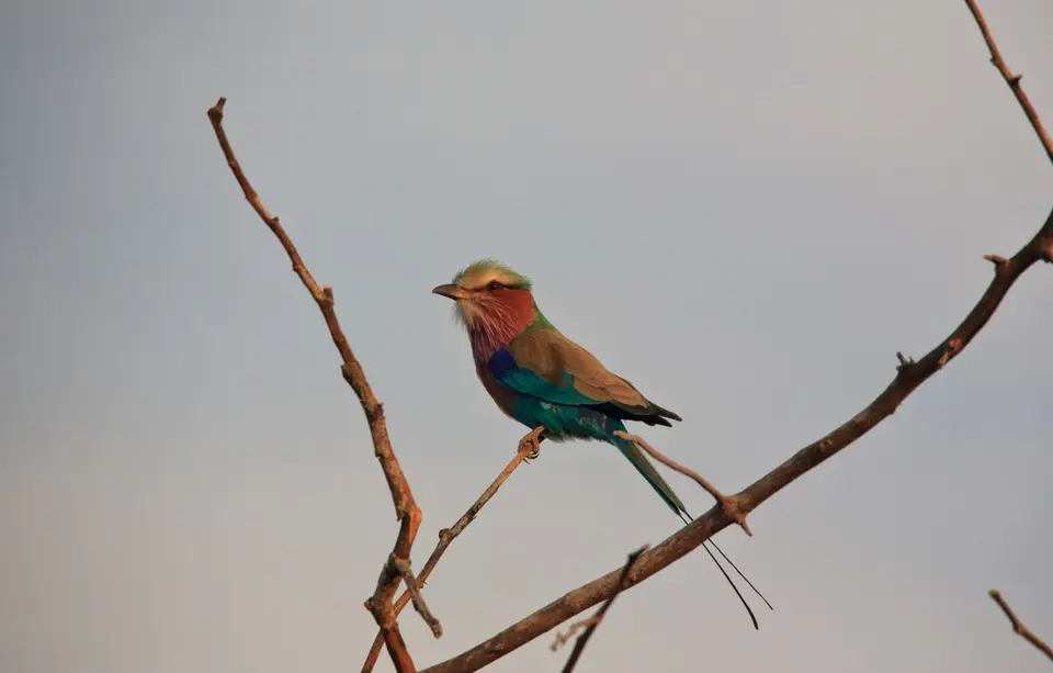 Namibia_Okavango_045.jpg