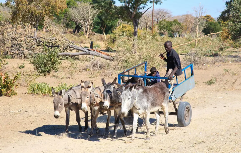 Namibia_Okavango_062.jpg