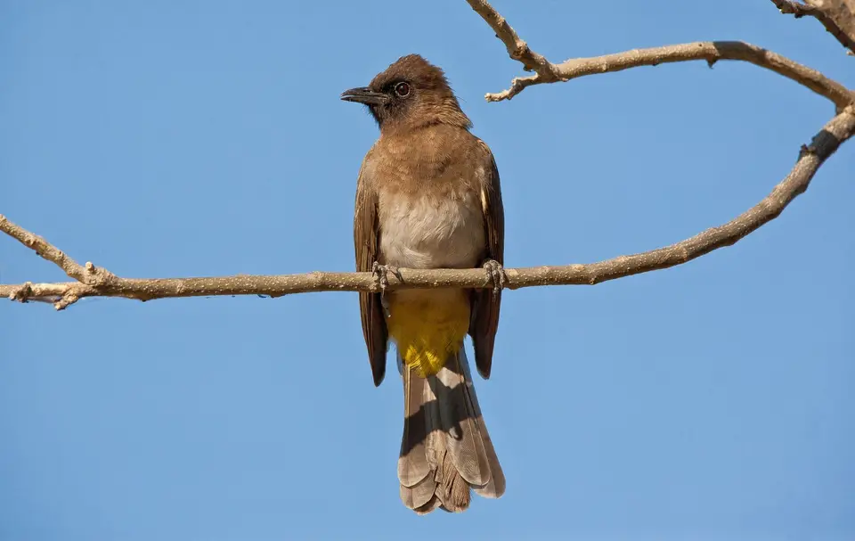 Namibia_Okavango_082.jpg