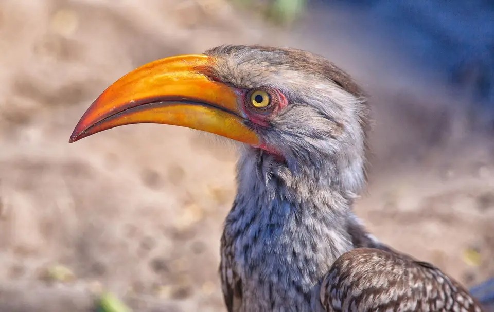 Namibia_Okavango_099.jpg