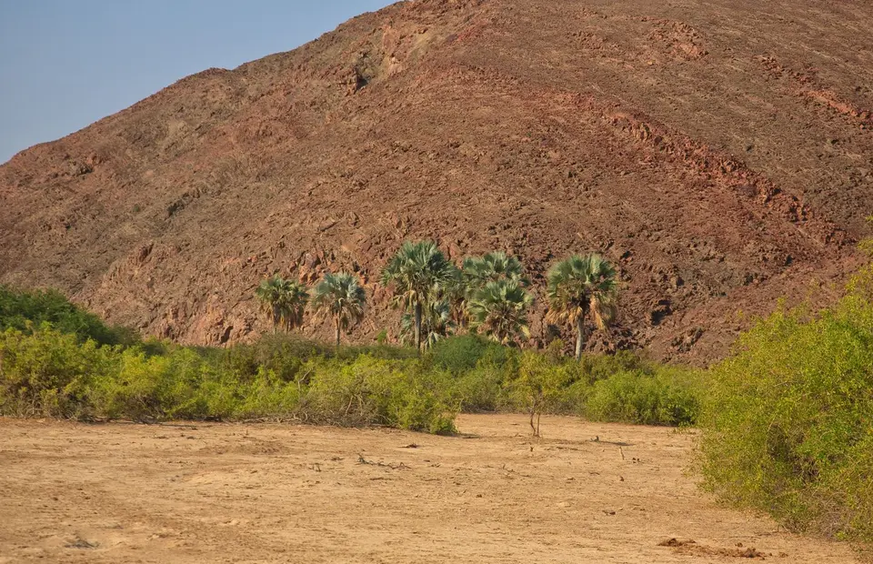 Namibia_Purros_26.jpg