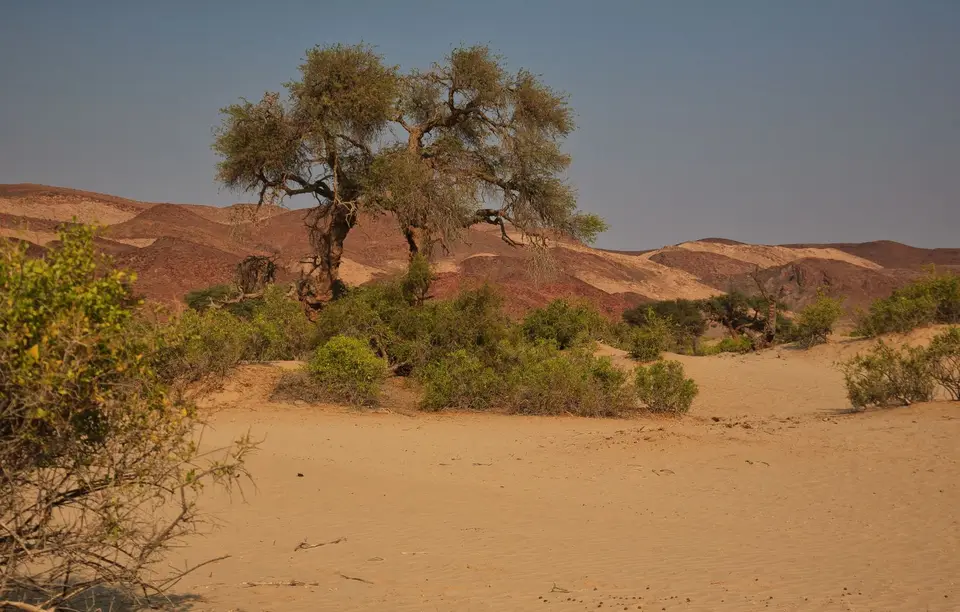 Namibia_Purros_28.jpg