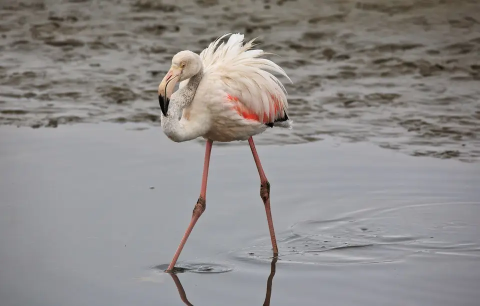 Namibia_WalvisBay_012.jpg